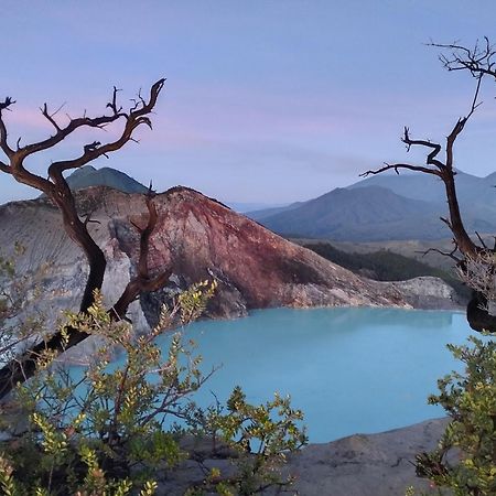 Nio Homestay And Tour Licin Екстер'єр фото